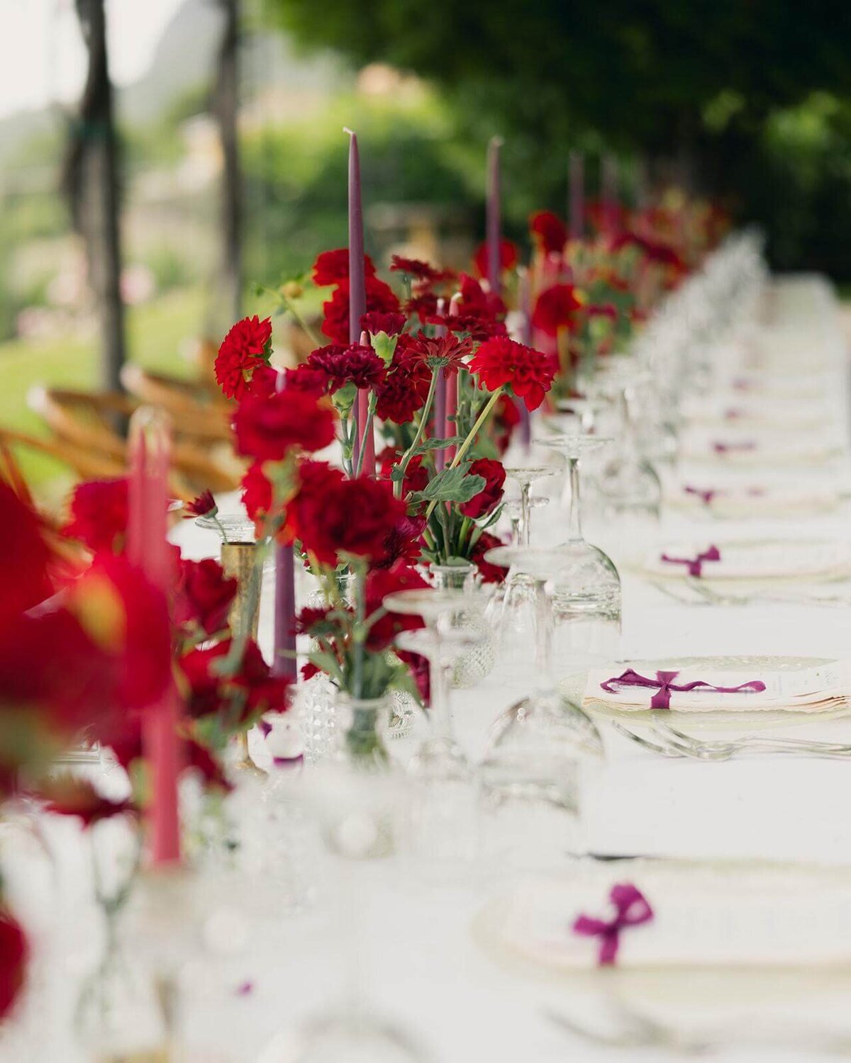 Berry table full. Photo by Dear.Vincent