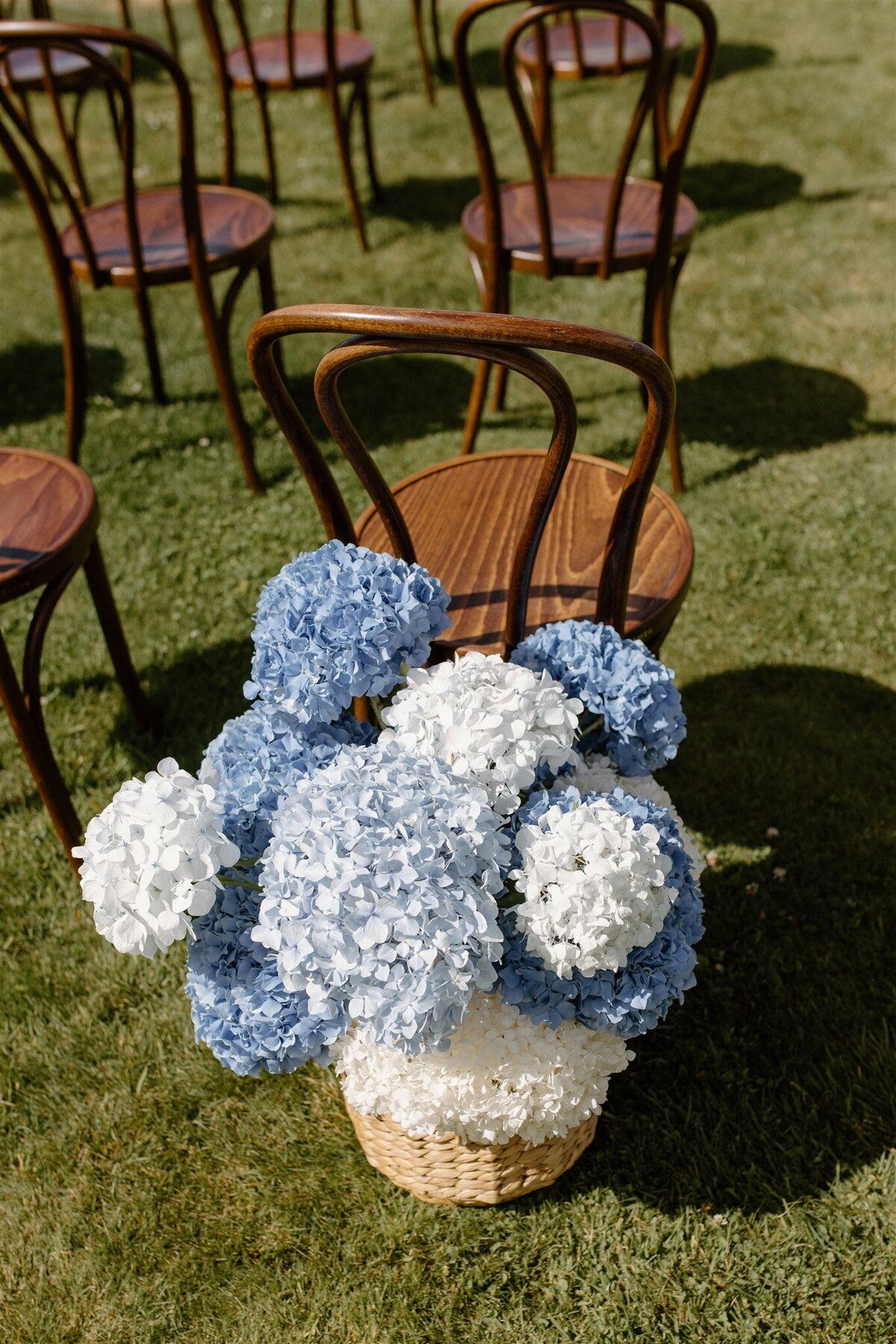 Close-up of bentwood ceremony chairs and a woven basket of pale blue and white hydrangeas arranged at the aisle.