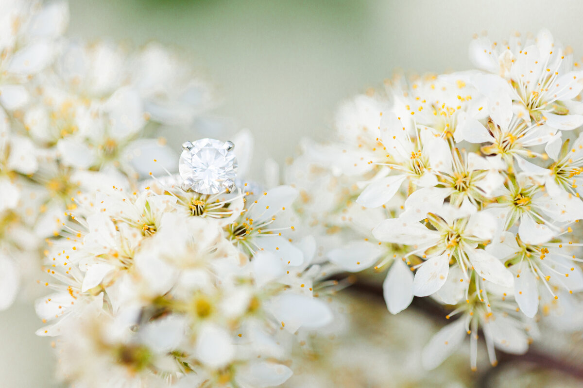 Close up of an engagement ring on flowers representing the best Boston engagement pictures