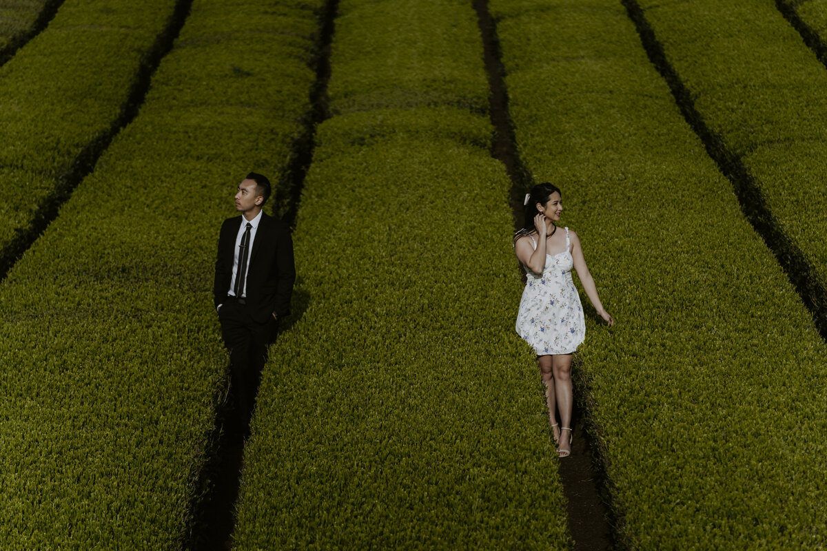 Jeju Pre-Wedding-69