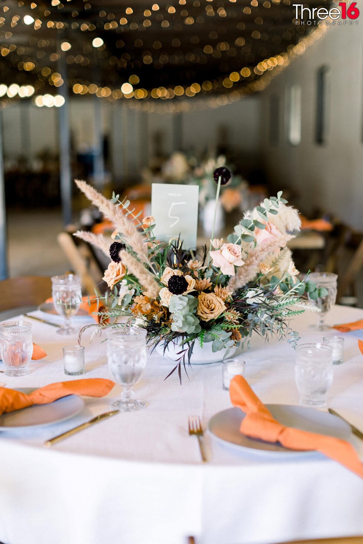 Three16 Photography Orange County-1013_1