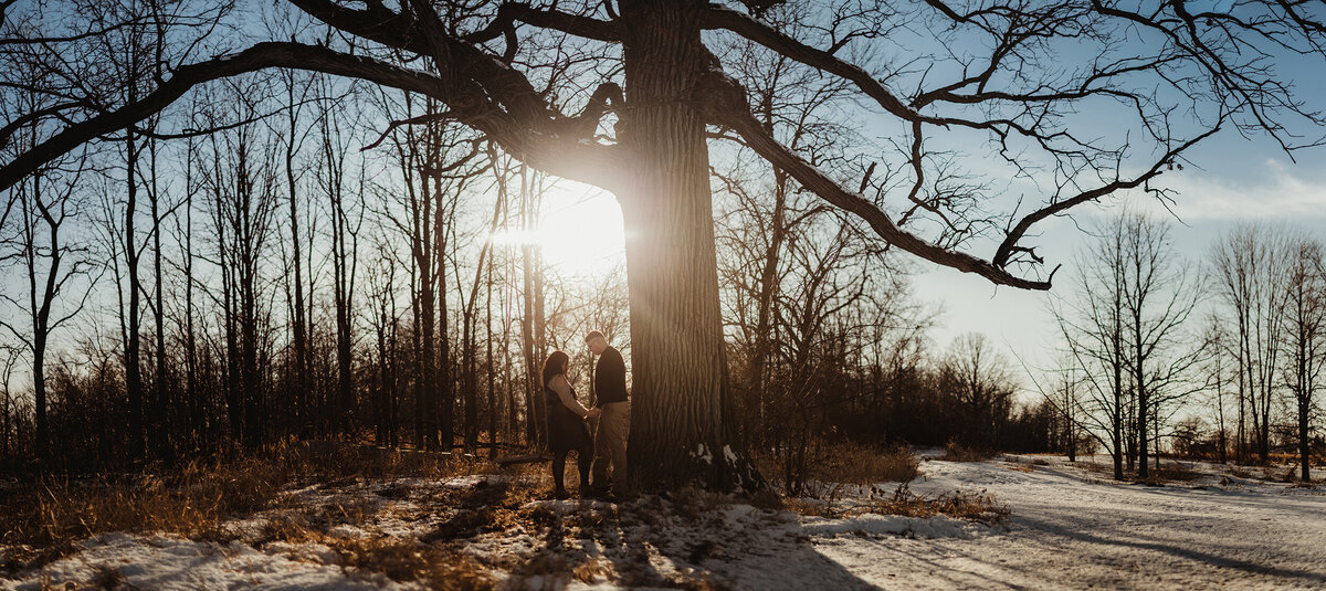 Wisconsin winter engagement session.