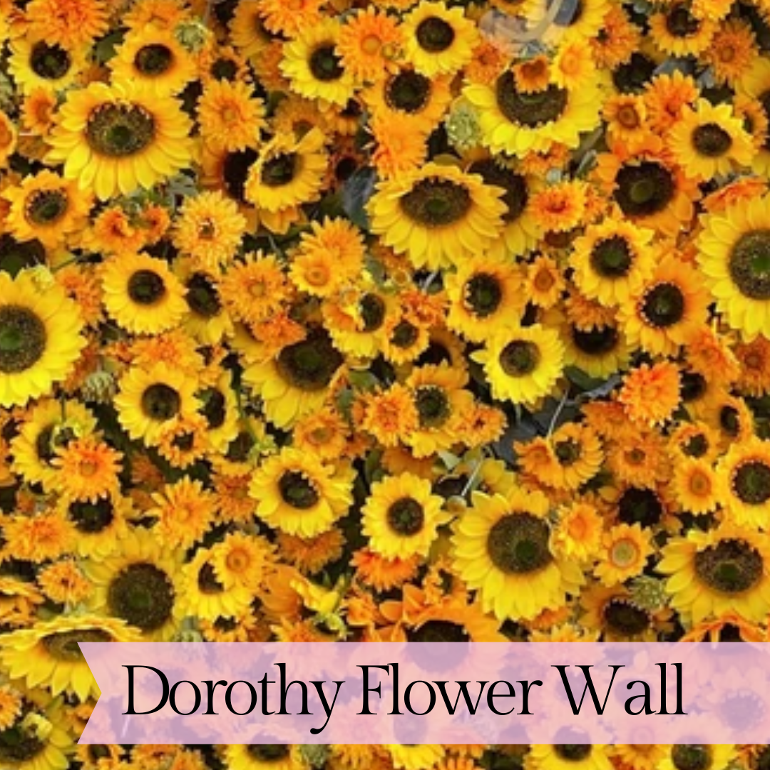 502 - Dorothy Flower Wall