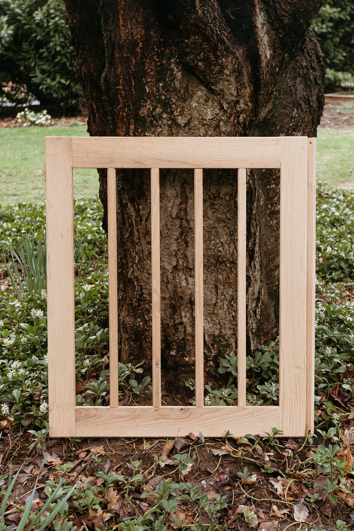 Woodsong-151