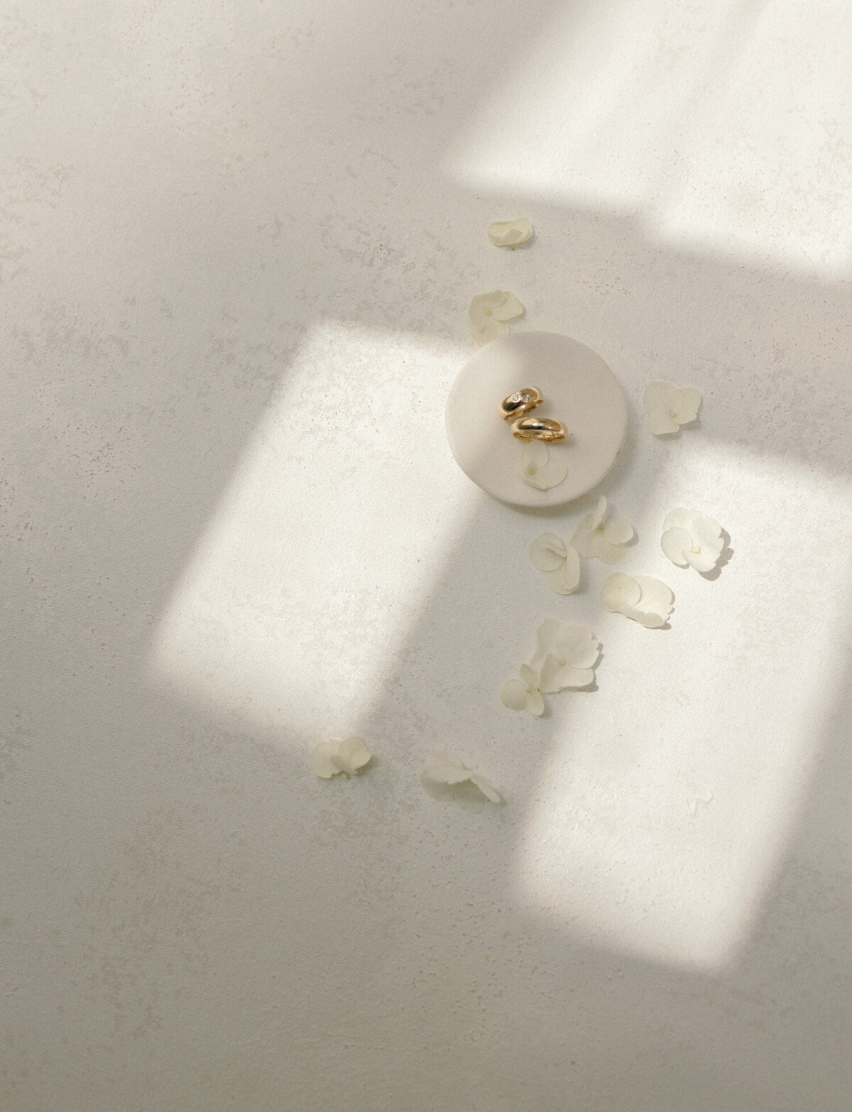 soft dappled light & white petals surround two yellow gold wedding bands, documented on film by Detroit photographer Christina Harrison