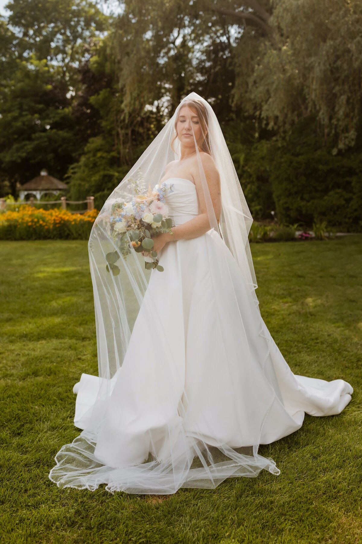 bride-wedding-veil-pictures
