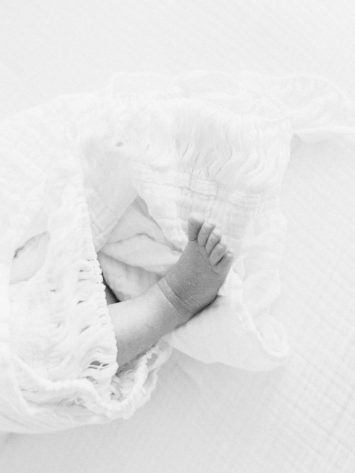 Michelle-Popp-Photography-Lucy Newborn-94
