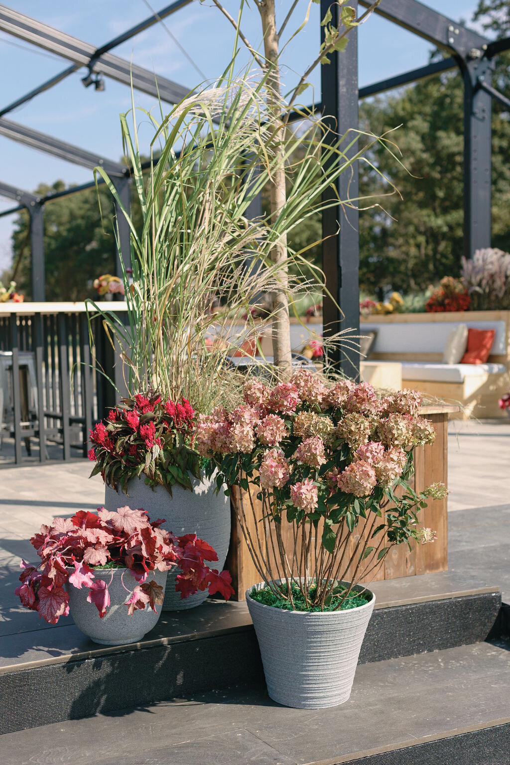 Special-Event-Planner-Bluegrass-Music-Festival-Virginia-0026