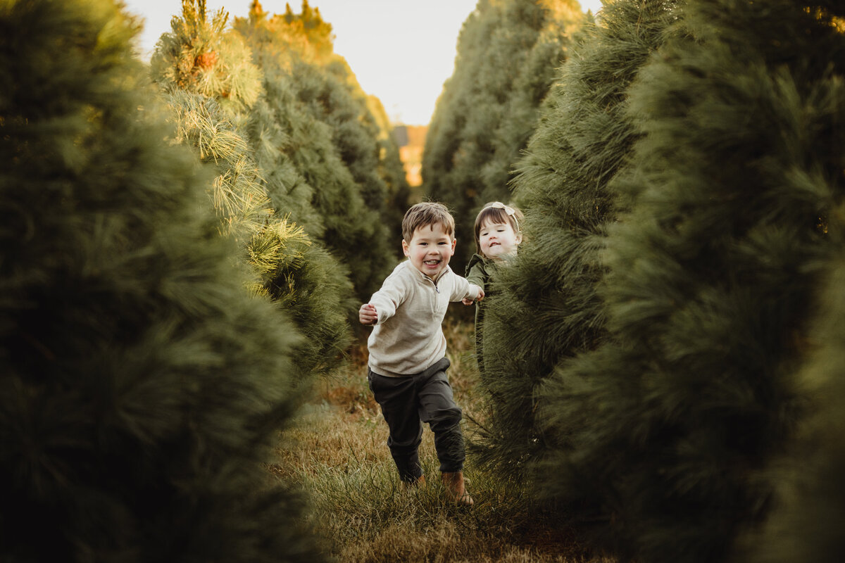 KristeenMarie-Photography-tree-farm-3047