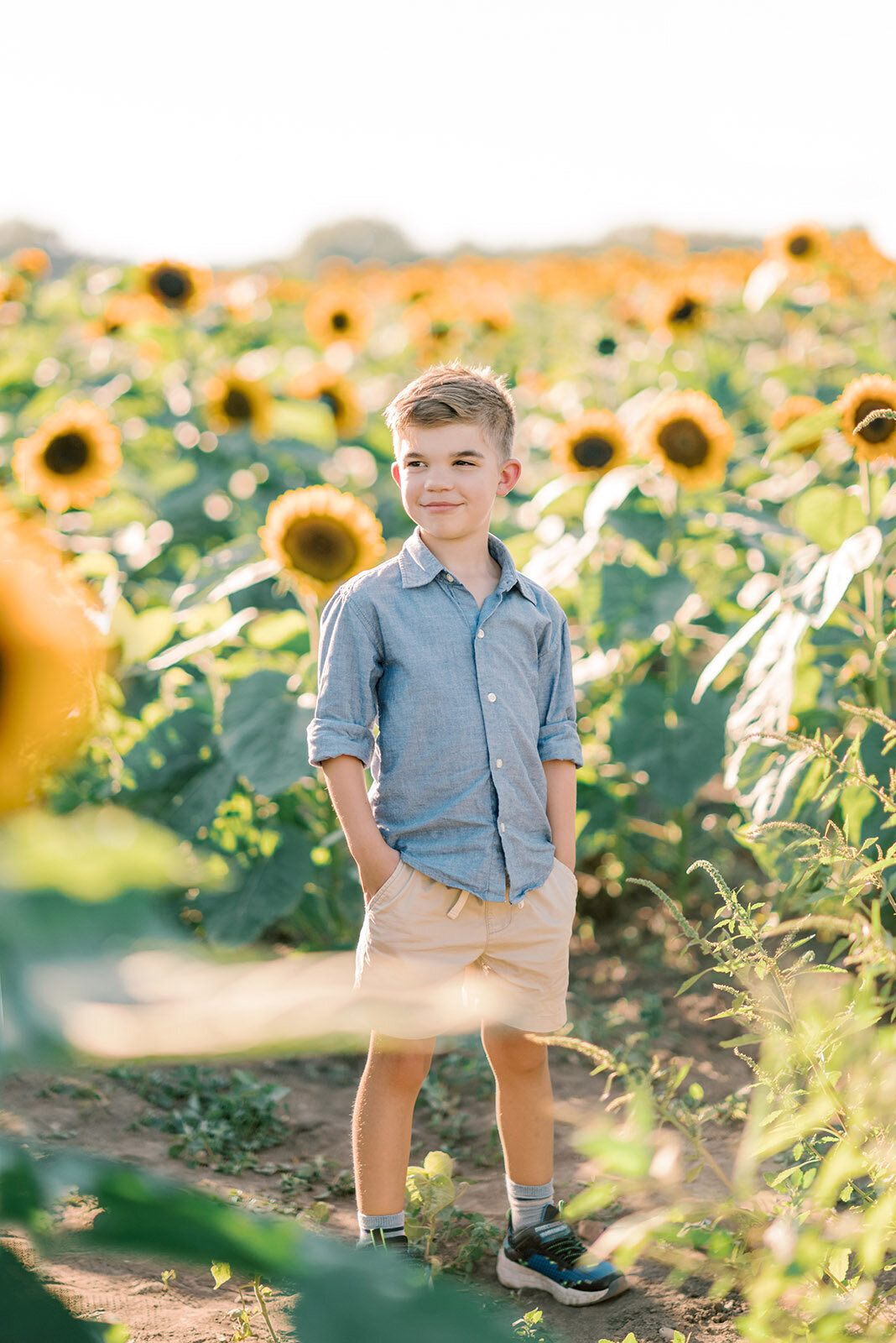 ac-10-sunflower-photoshoot