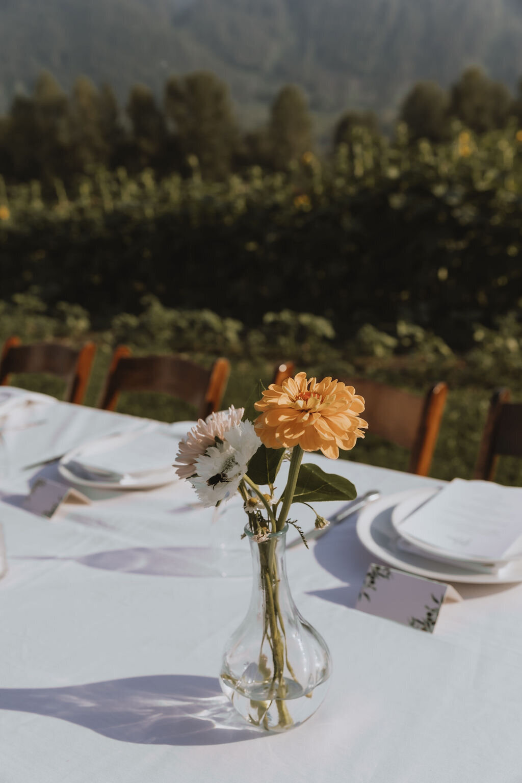 PembertonWedding-FrancesandIan-616