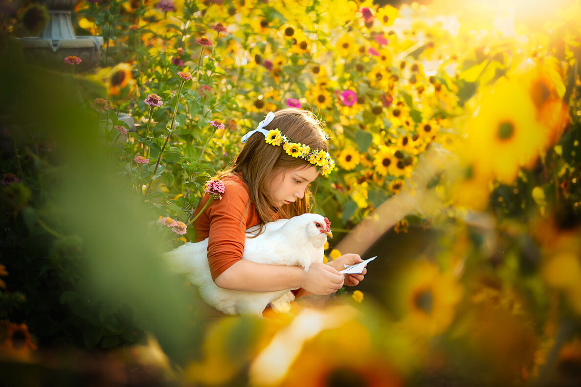 chicken-white-easter-egger-garden-sunflowers-yellow-girl-reading-note-flower-crown-magical-dreamy-colorado-farm-vibrant-colorful