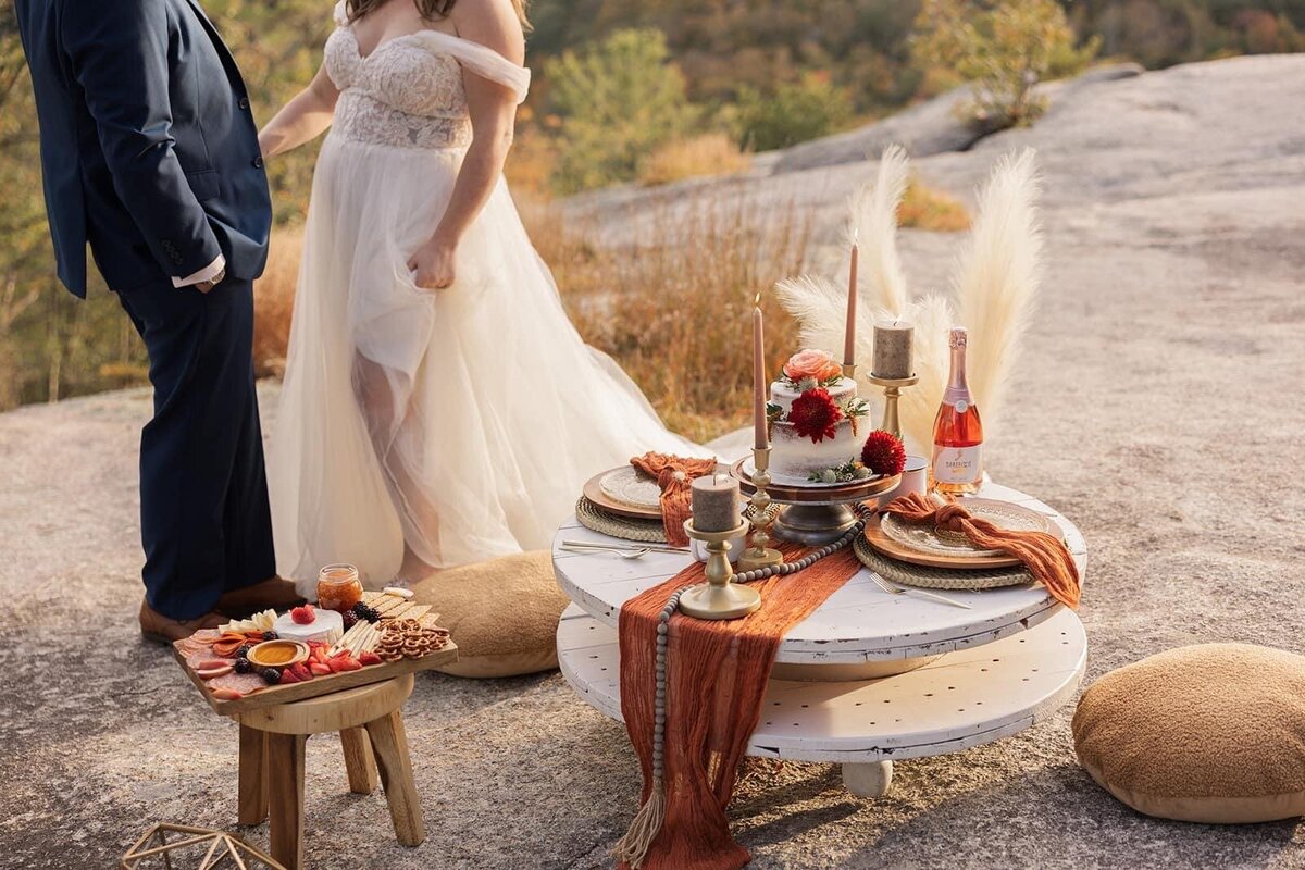 luxury-picnic-setup-6