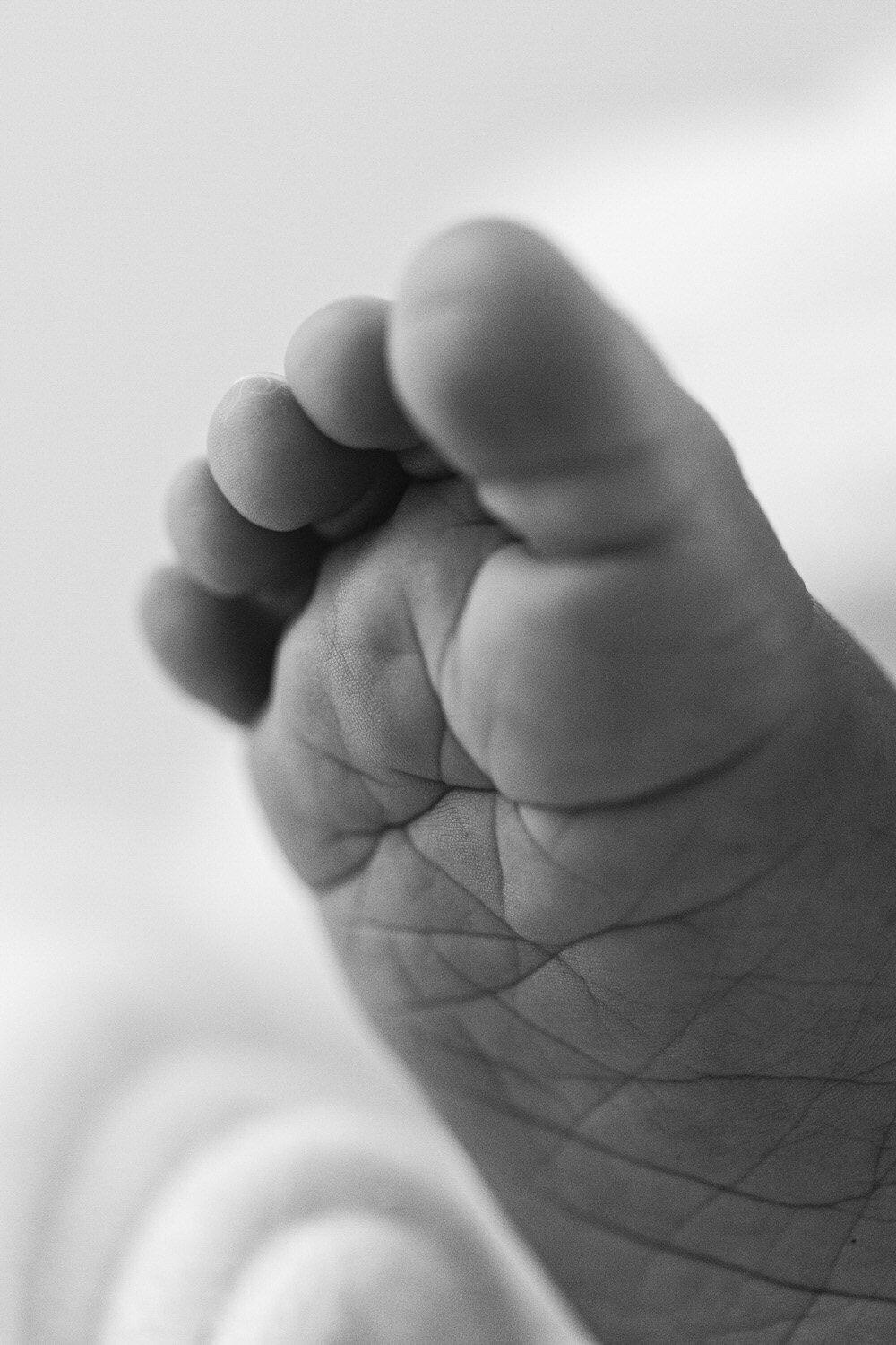 Close up photograph of babies foot