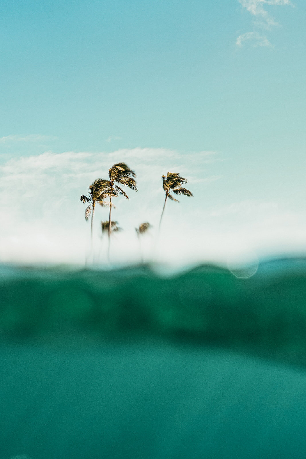 Rachael-Zimmerman-Photography-Denver-Colorado-Maui-Hawaii-LGBTQ-Adventure-Photographer-Landscape-04