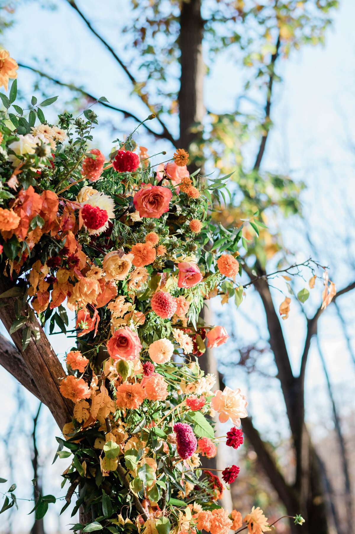 the chuppah’s floral arrangement, showcasing roses, dahlias, and marigolds in shades of orange, red, and yellow