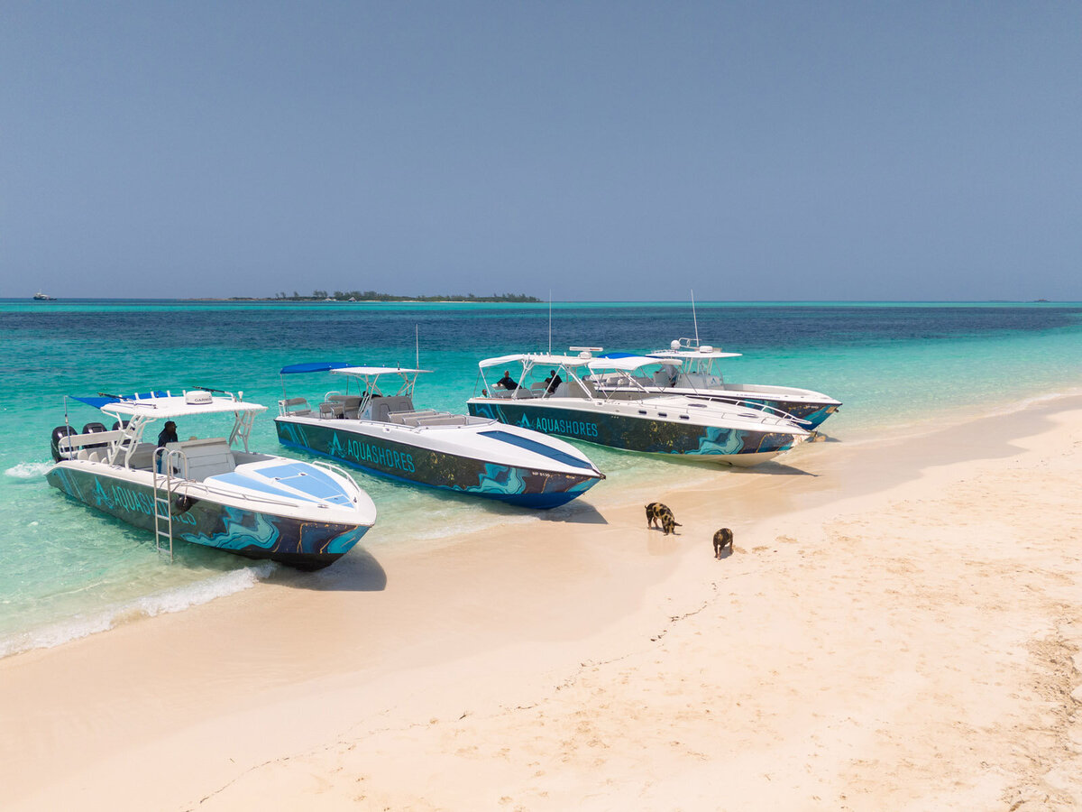 Aqua-Shores-Rose-Island-19