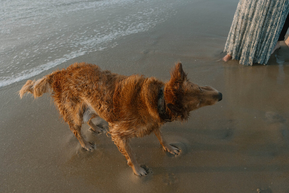 CathrynFinkPhotography-11
