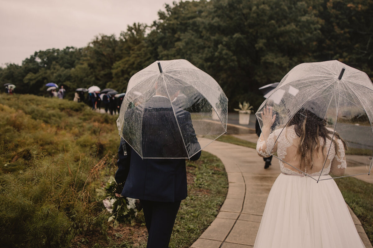Newlyweds and their guests walking outside under umbrellas 