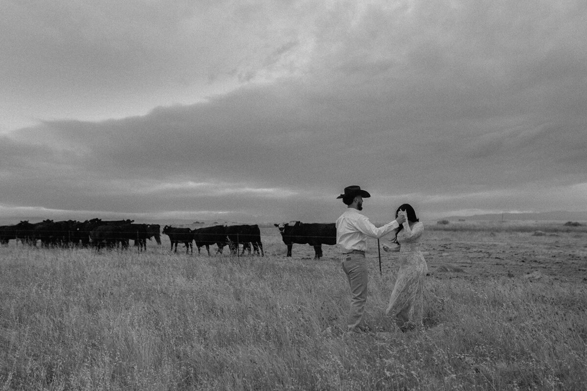 westernfieldproposal-16