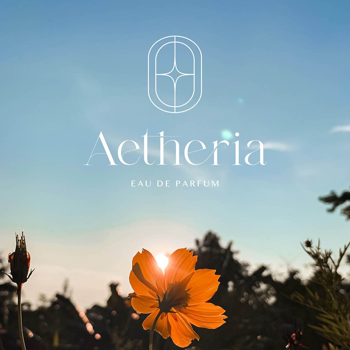 Aetheria perfume brand identity design featuring logo over sunset floral background