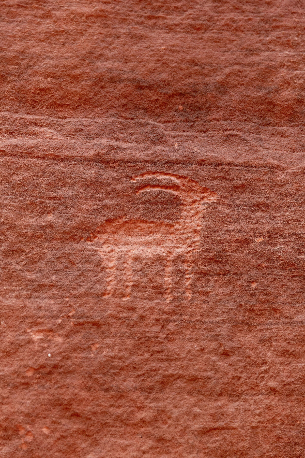 060-larissa-cleveland-amangiri-events-wedding-california-photographer-104