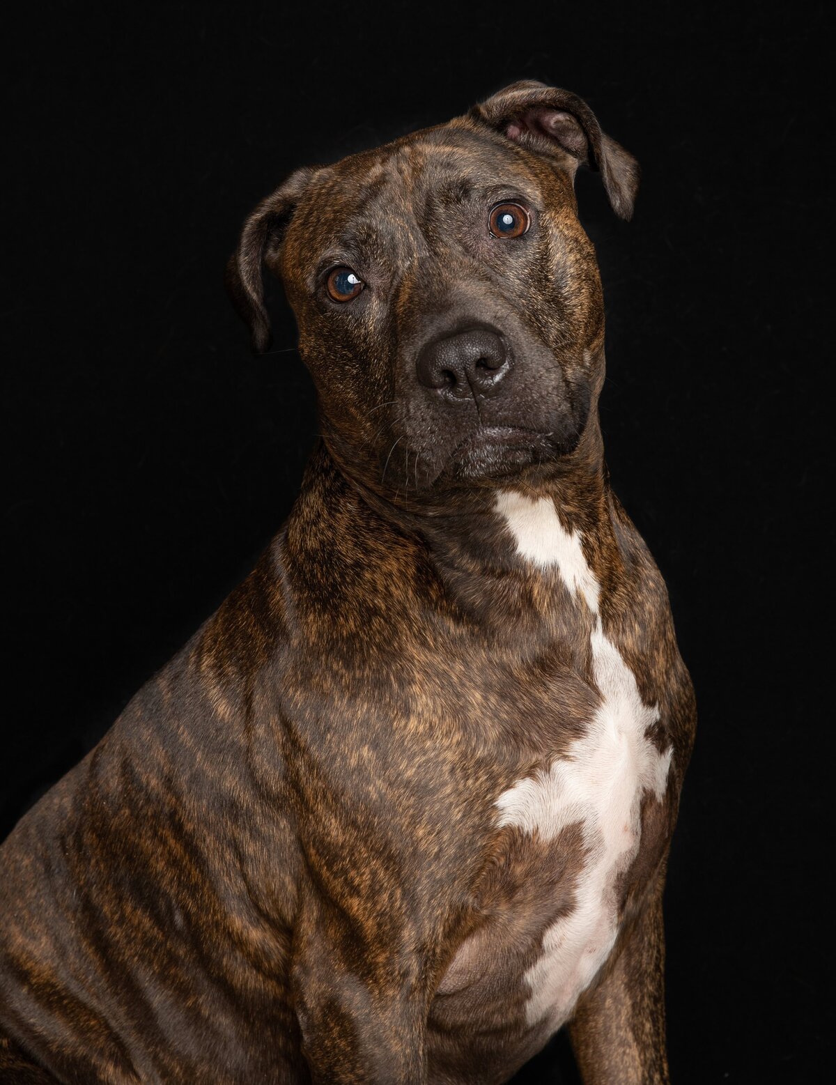 408A3866-Edit