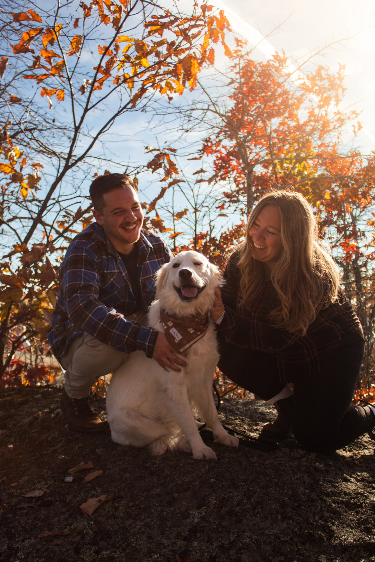 Surprise Engagement in Connecticut