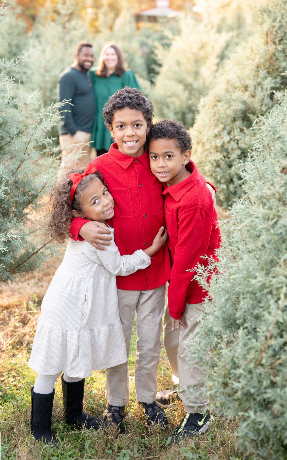 Cary nc family photographer