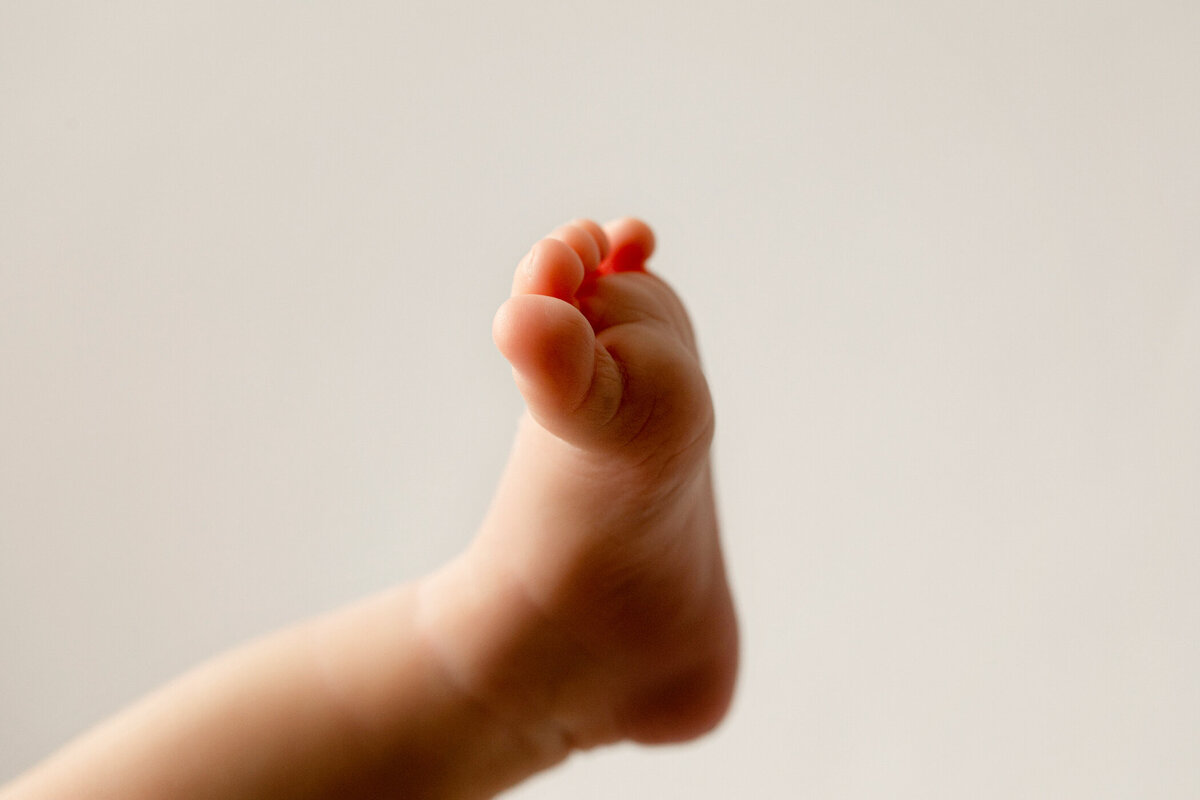 Macro detail photo of newborn baby toes in local photo studio in Fresno, CA