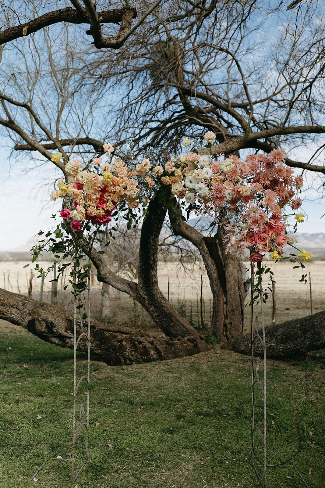 wedding-photography-arizona-farm-house-whimsical-editoral-non-tradtional-wedding-loho-bride-3054