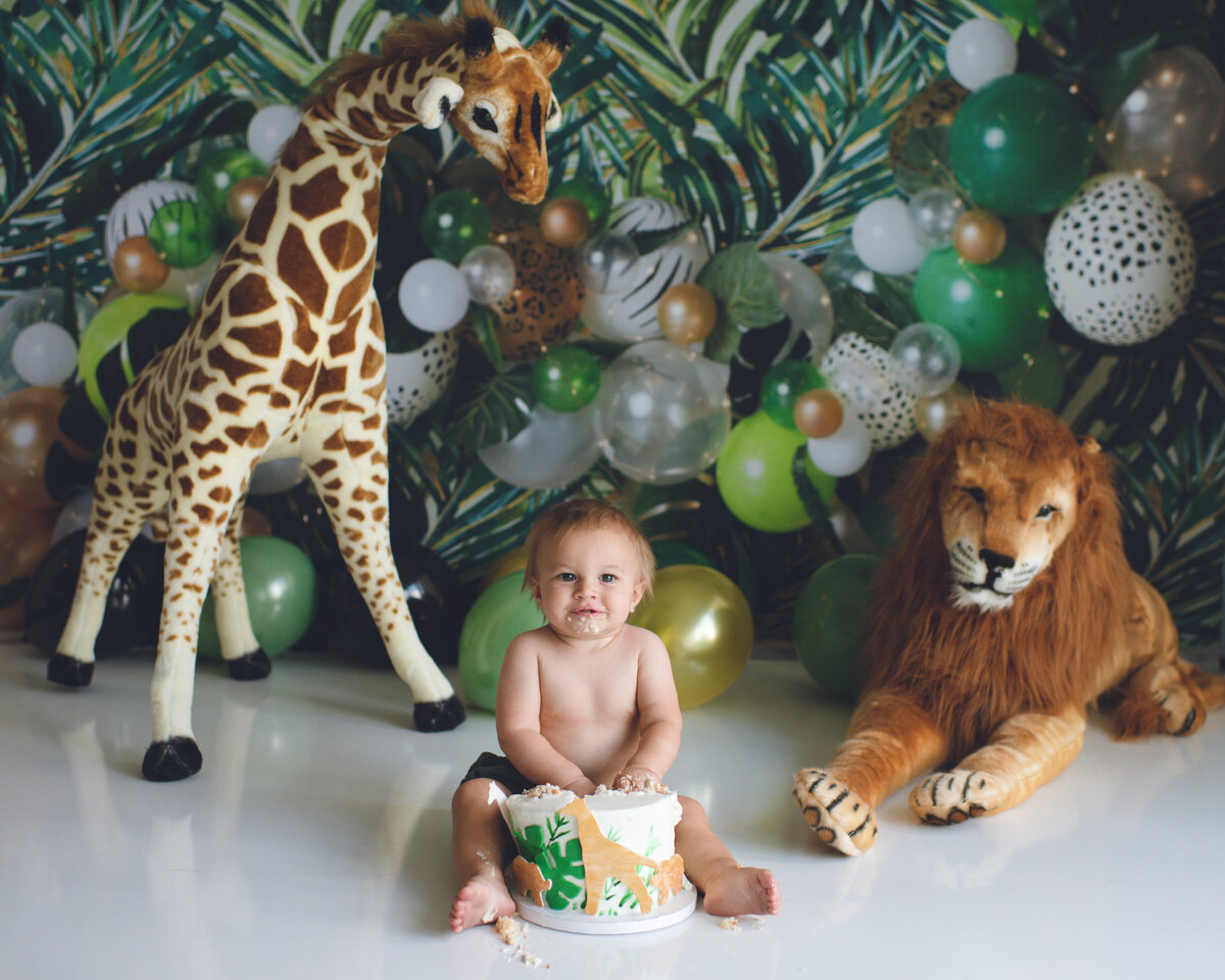 one year old boy safari themed cake smash