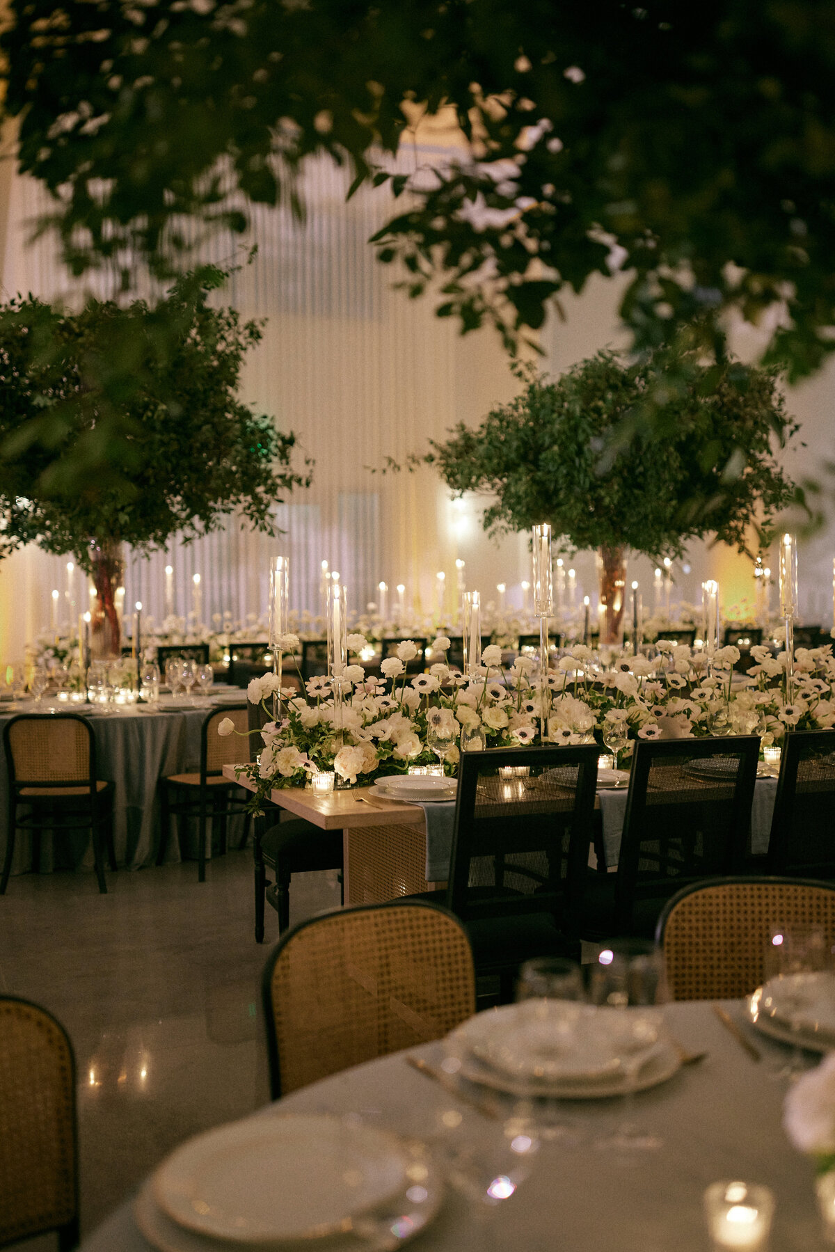 231202CAMEDD_adv0188