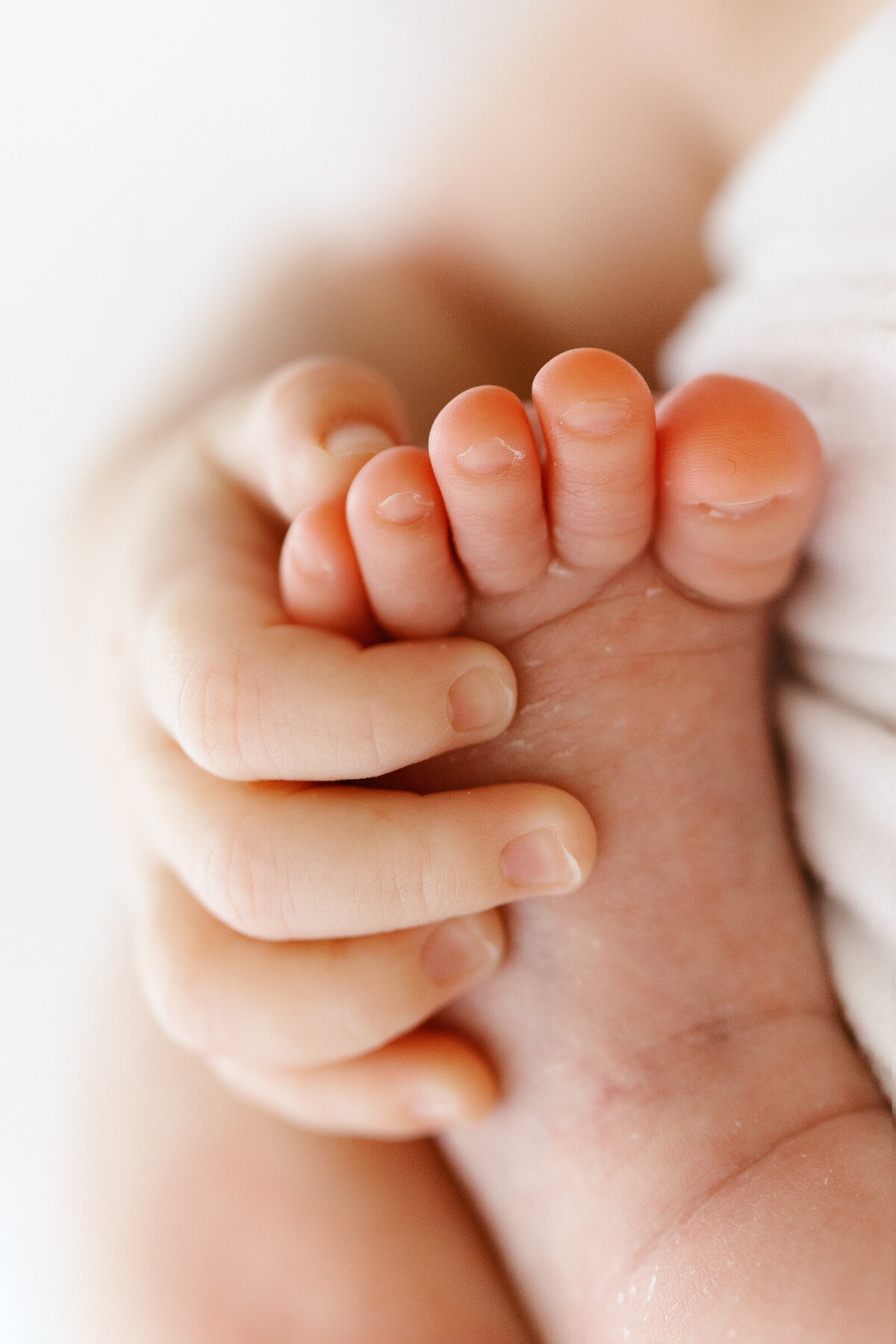 Baby Feet, Houston Newborn Photographer