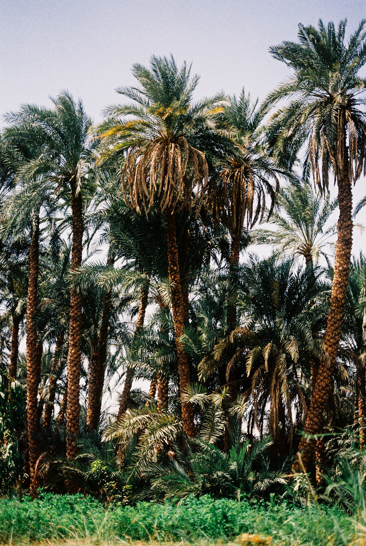 egypt-travel-100