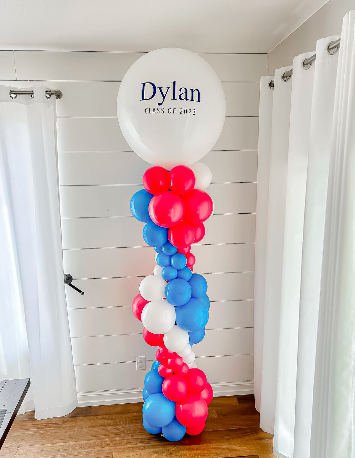balloons-bismarck-nd-295