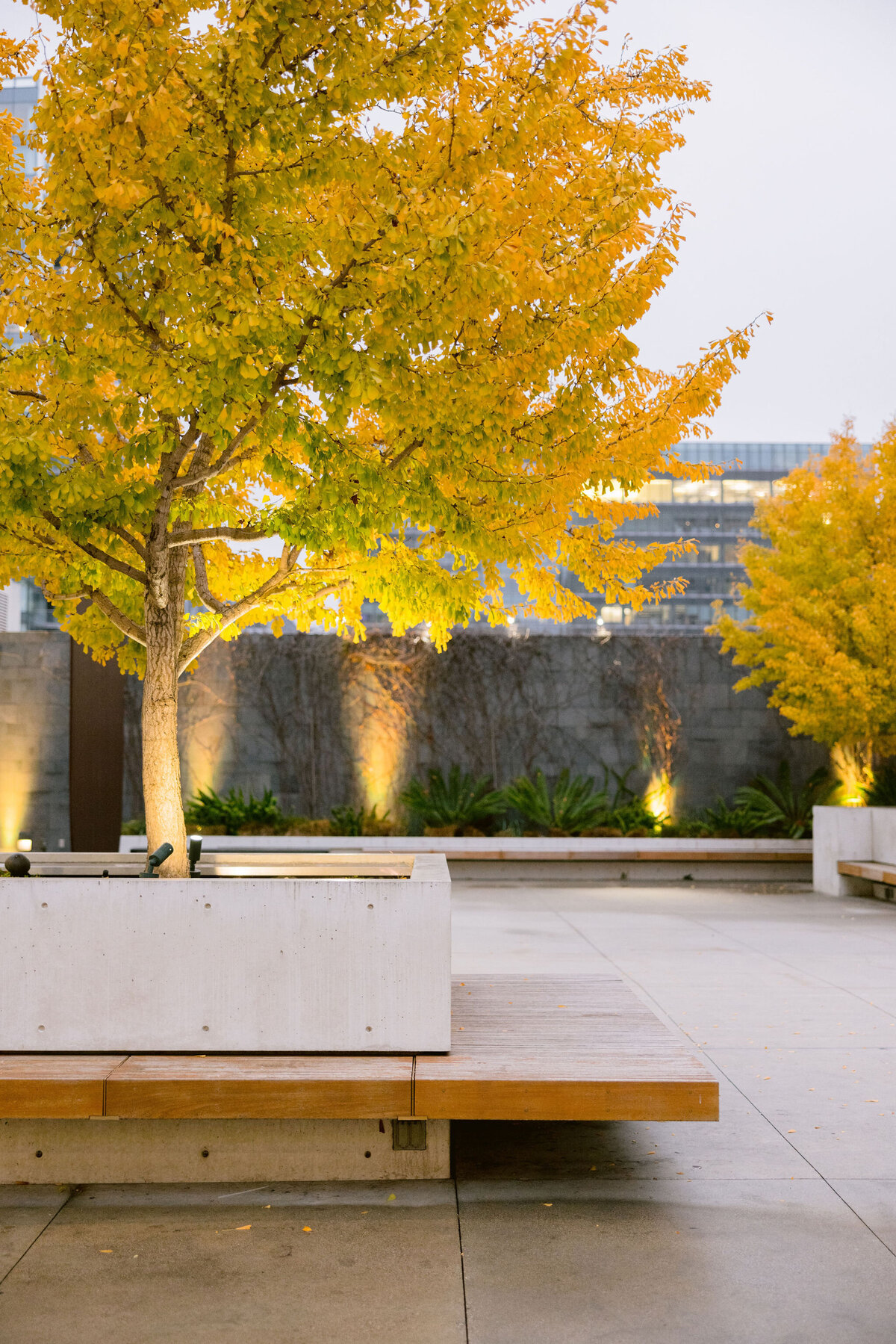 IC-larissa-cleveland-shannon-leahy-moma-mr-jius-san-francisco-116