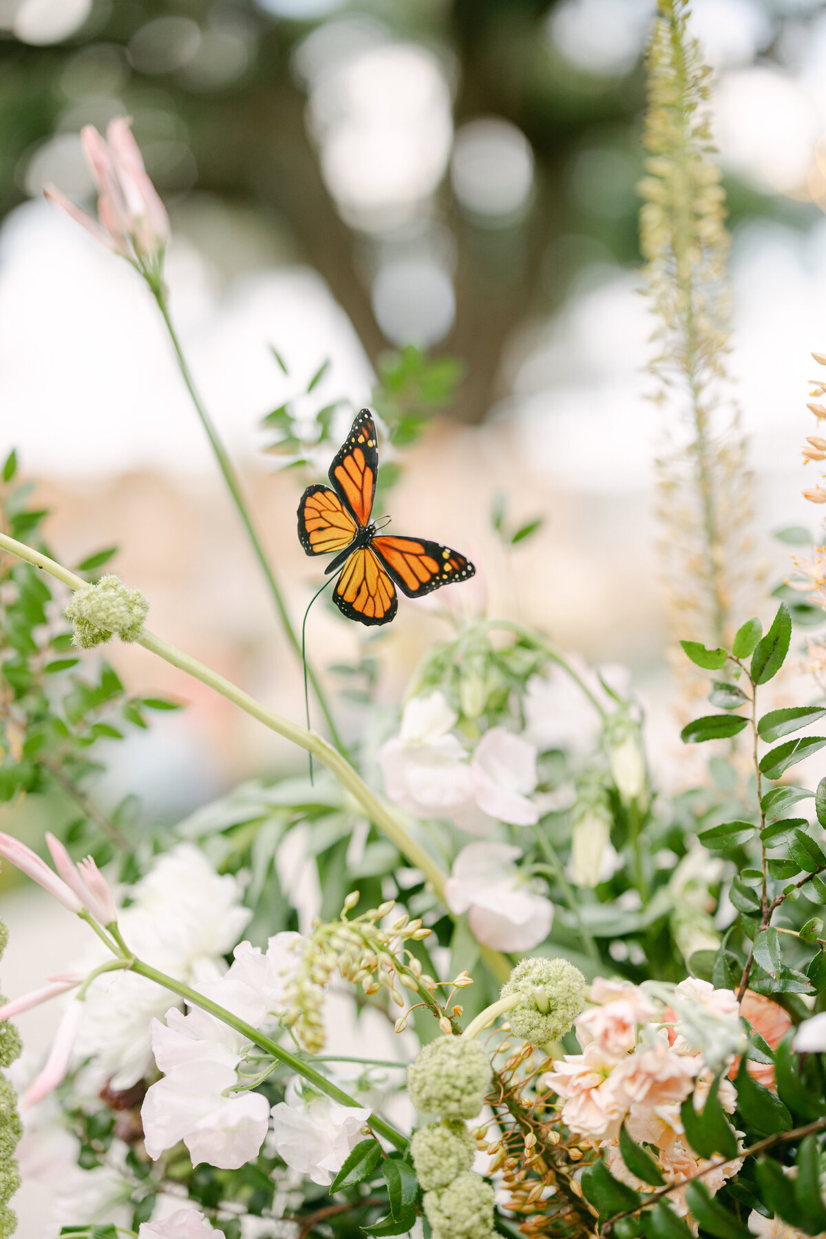 Bella Cosa Wedding Photographer Kristen Weaver Photography Orlando Wedding Photographer Editorial Fashion Chic Clean Film Preppy-1375