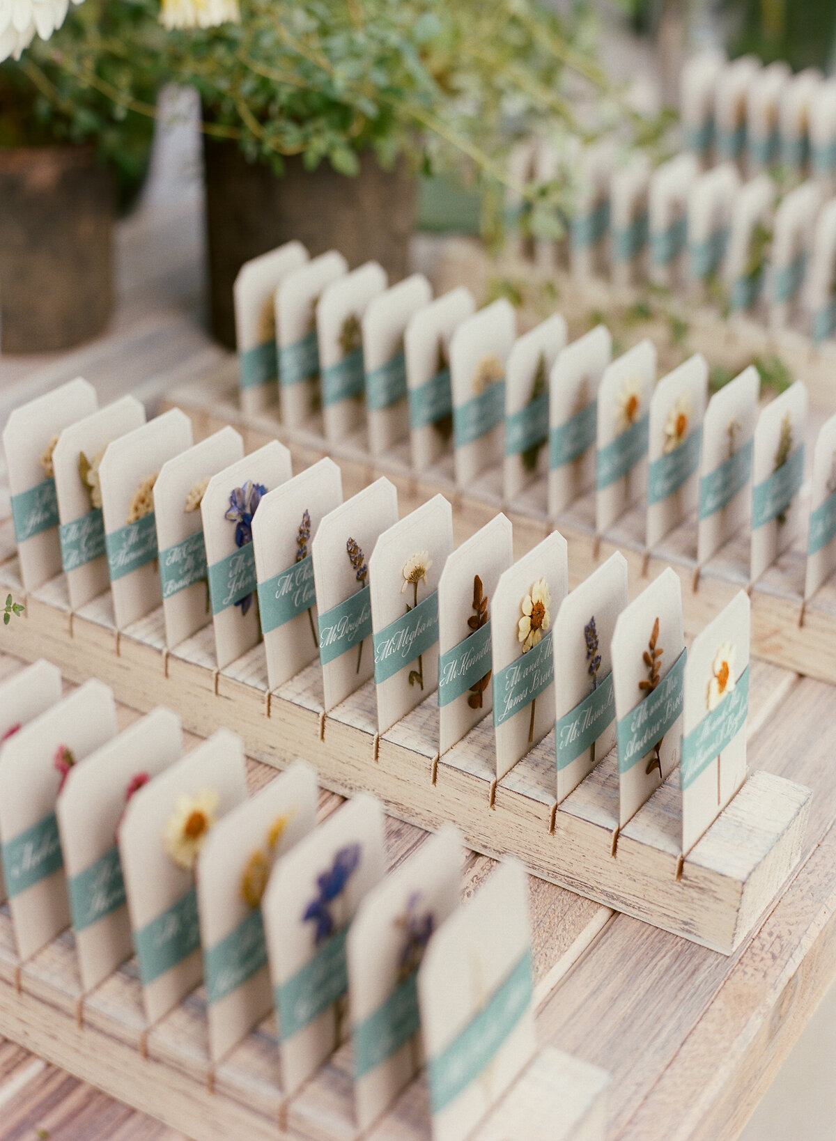 Easton-Maryland-Tented-Wedding-Planner34_IMG_9411