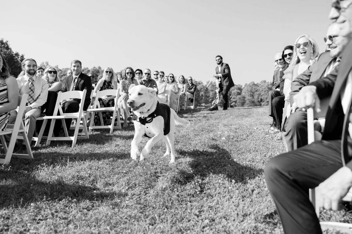 Blue-Ridge-Mountains-Wedding-72