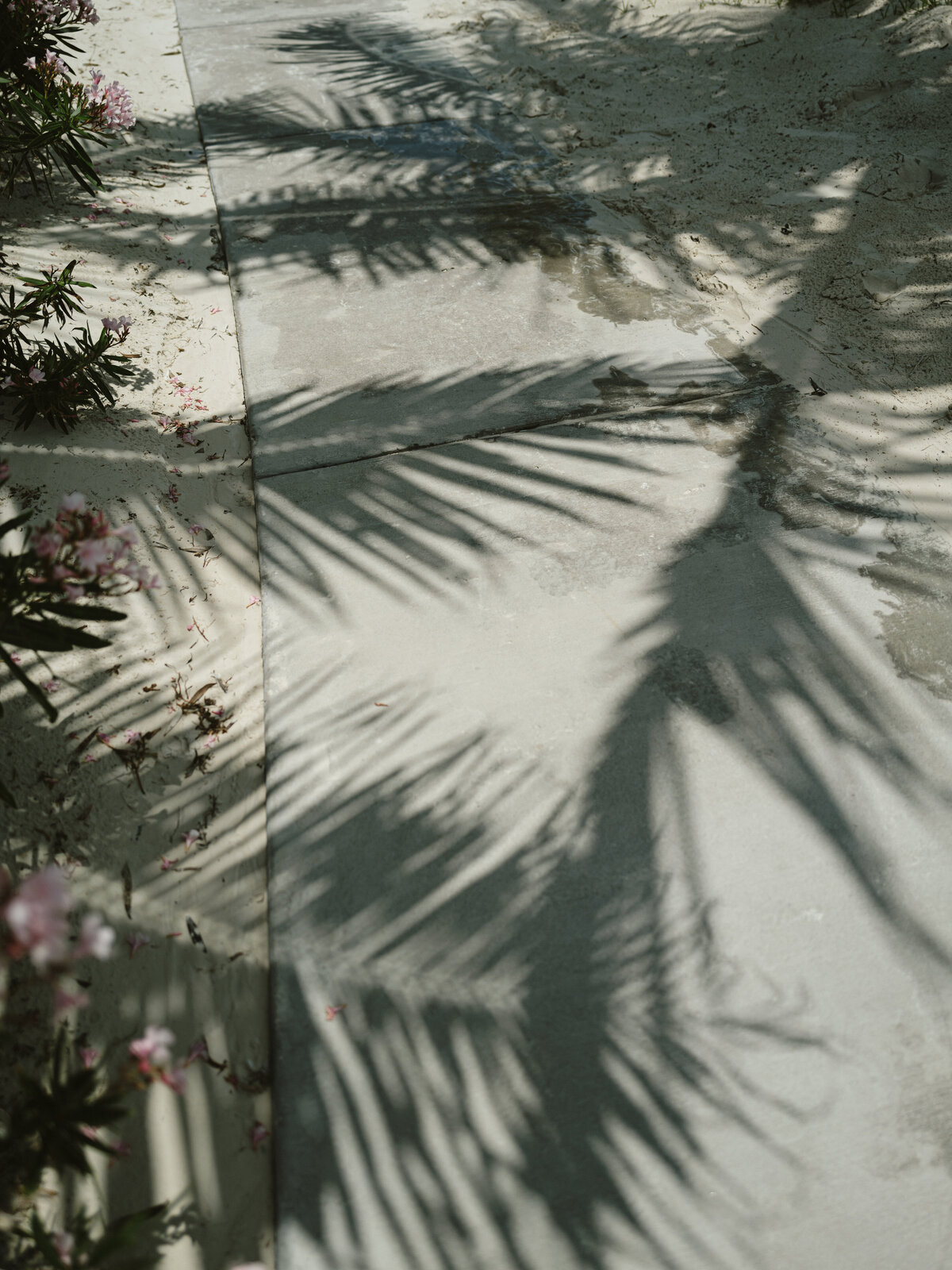 Kendall_Panch_Wedding_Preview-46