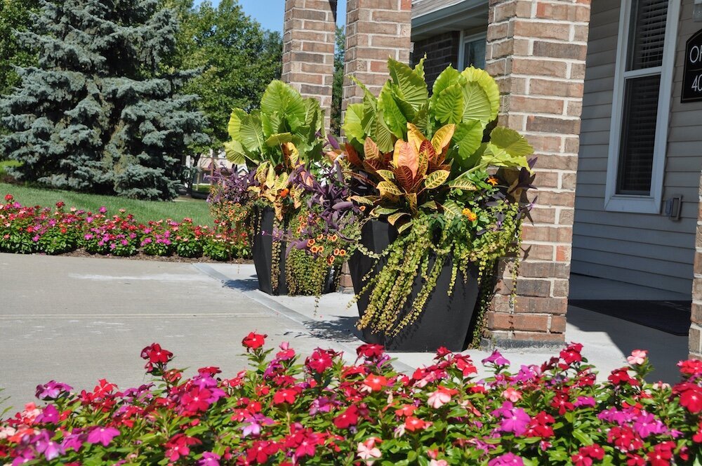 Residential landscape company project in Kansas City