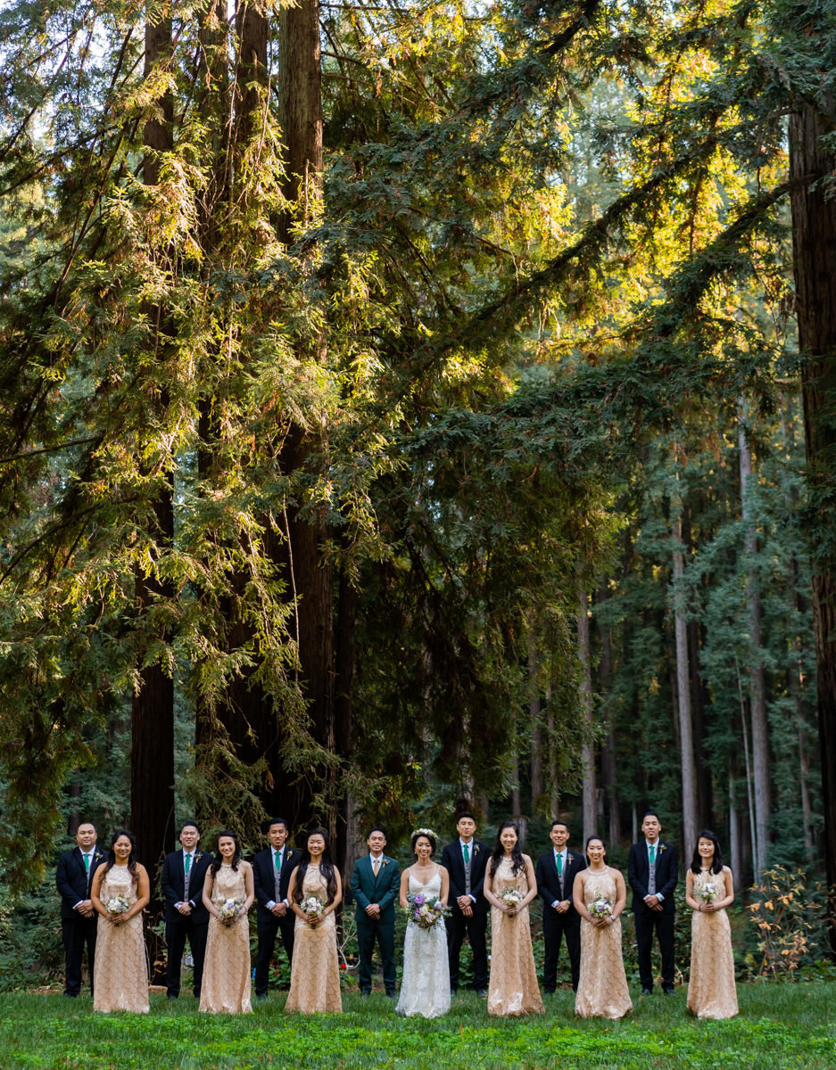 bridal party in front of lush greenery