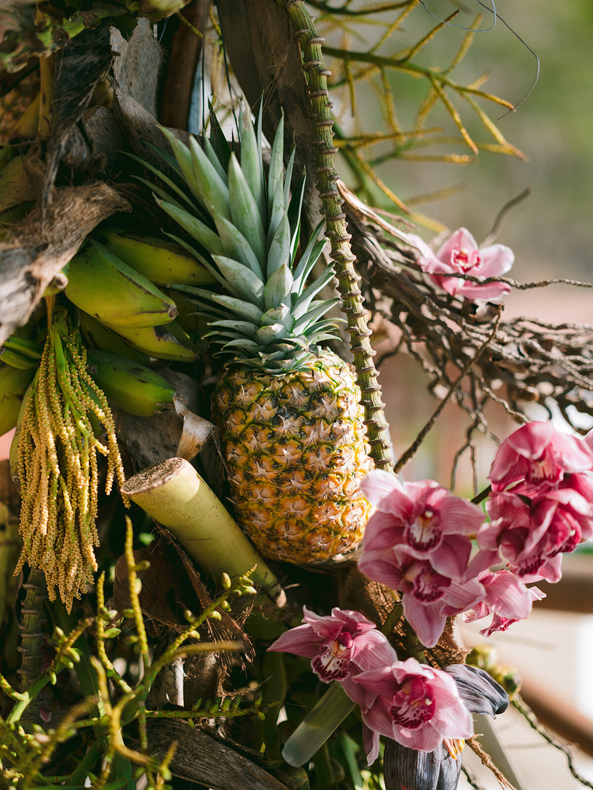 Mexico Wedding - The Authentic Storytellers-596