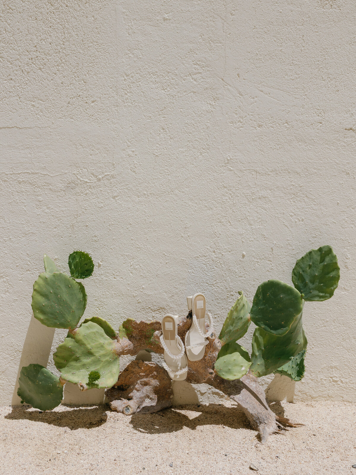 baja-luna-cabo-vivian-luke-wedding-sneaks-15