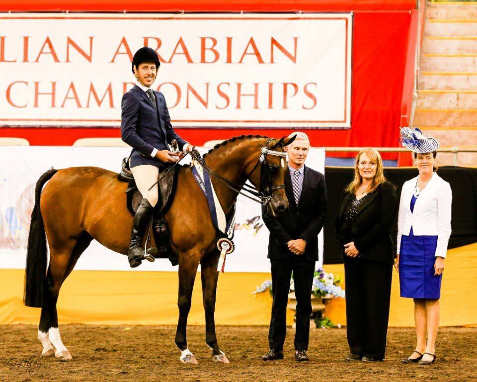 JLW EQUITATION (9)