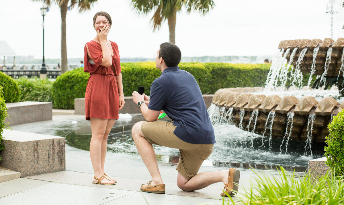 Brian and Emily Proposal-0014