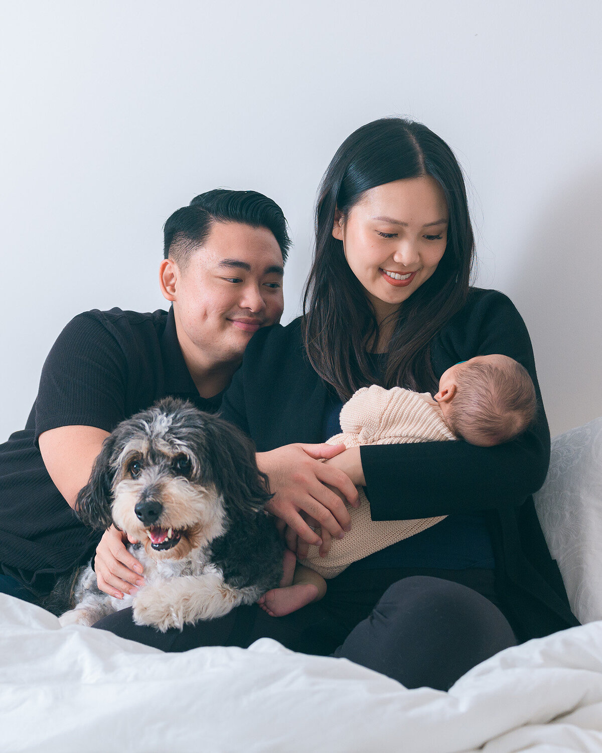 san-francisco-bay-area-newborn-photographer-family-pet-bed