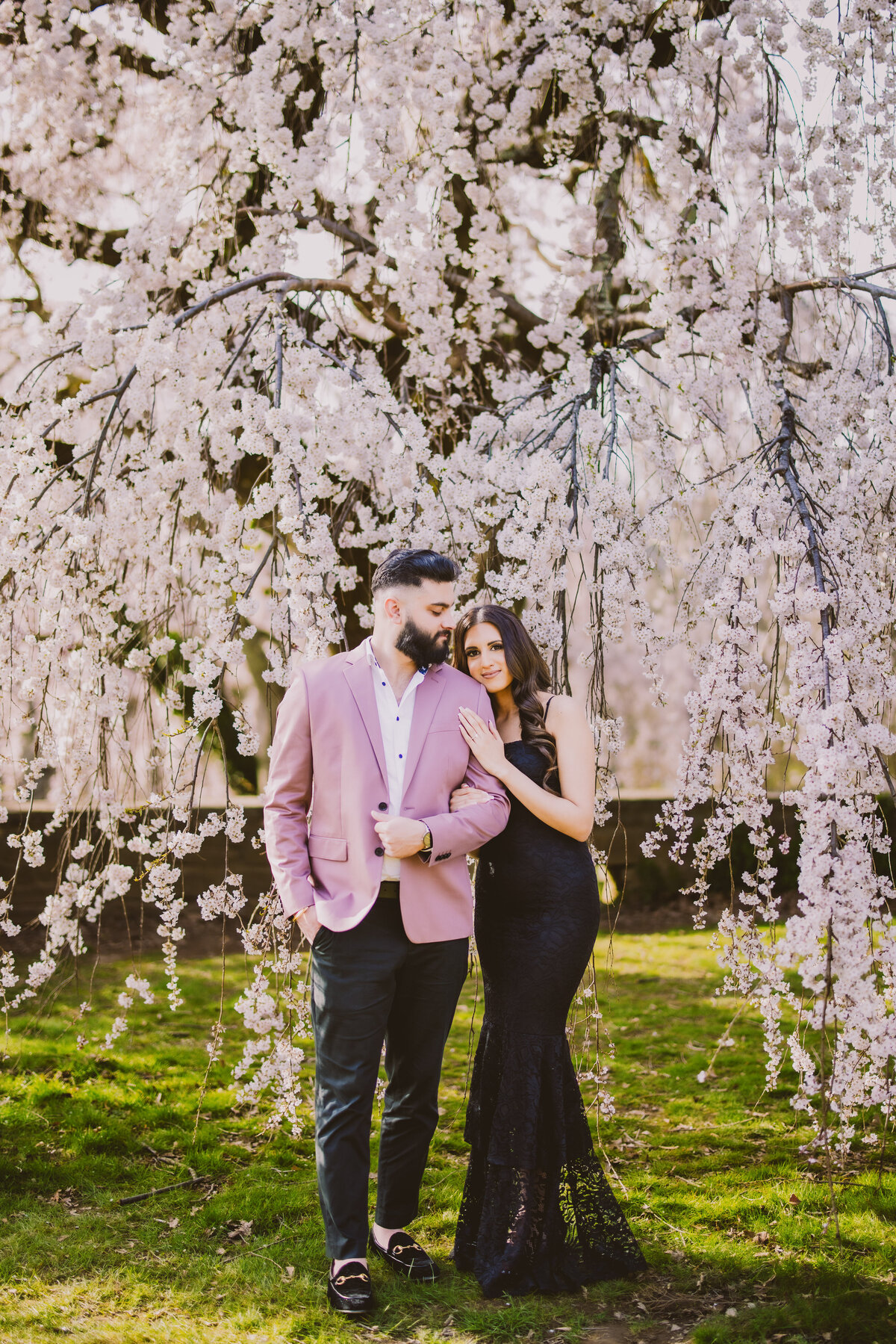 An engaged couple in formal clothing standing under a white cherry blossom tree at the nj botanical garden in ringwood state park