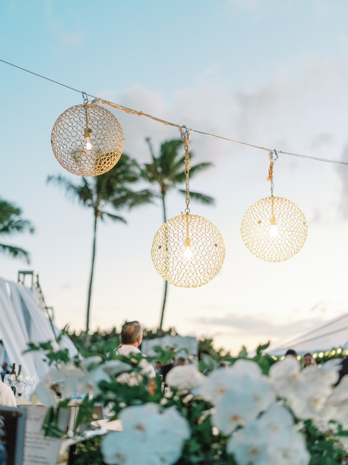 Samantha Aaron Judge Maui Wedding_Lauren Fair0114